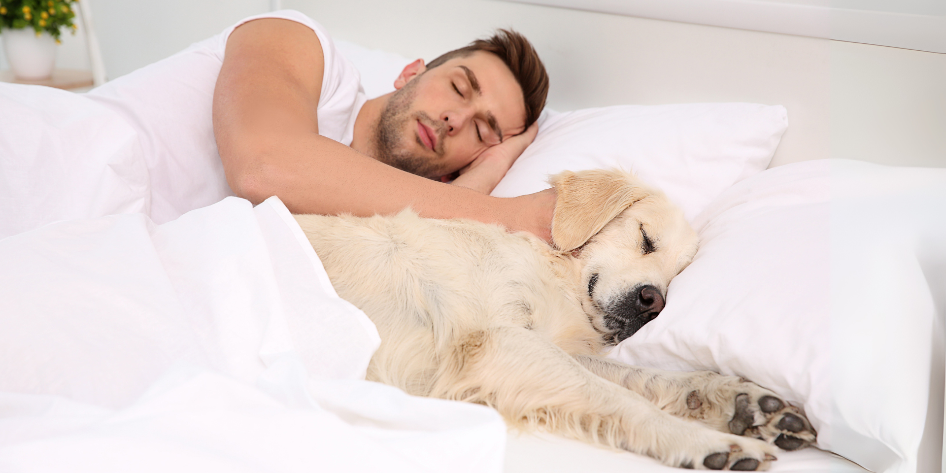 Dormir ao Lado de Pets Prejudica o Sono? Prós e Contras Segundo Especialistas