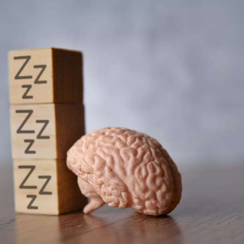 O que acontece com o cérebro quando dormimos? A ciência explica