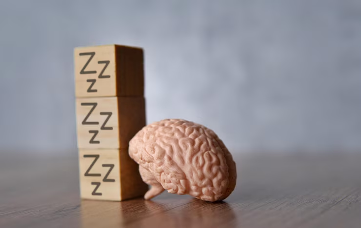 O que acontece com o cérebro quando dormimos? A ciência explica