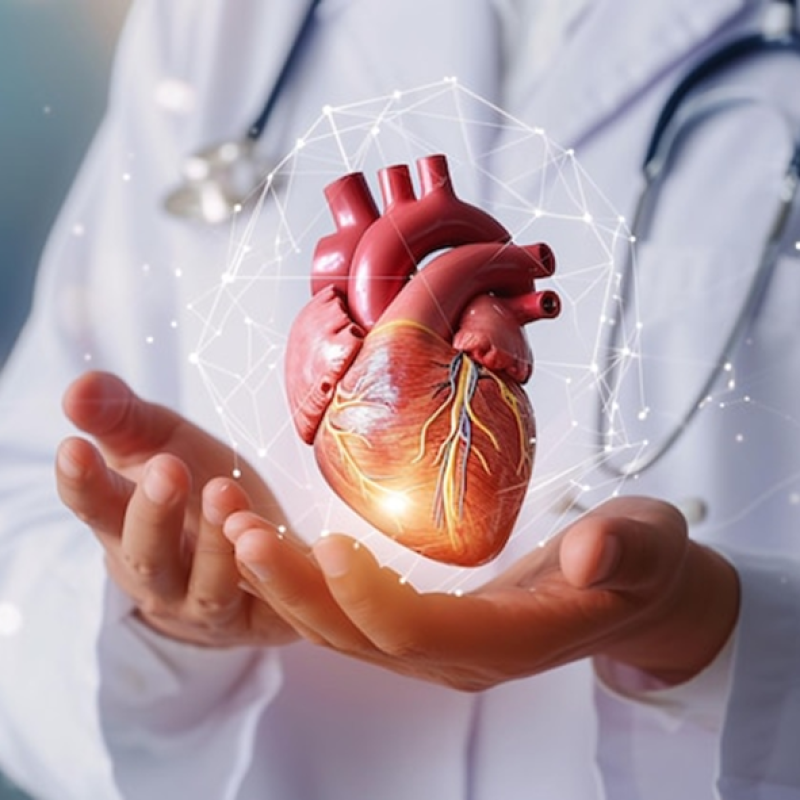 O Sono e a Saúde do Coração: Como Dormir Bem Protege o Sistema Cardiovascular