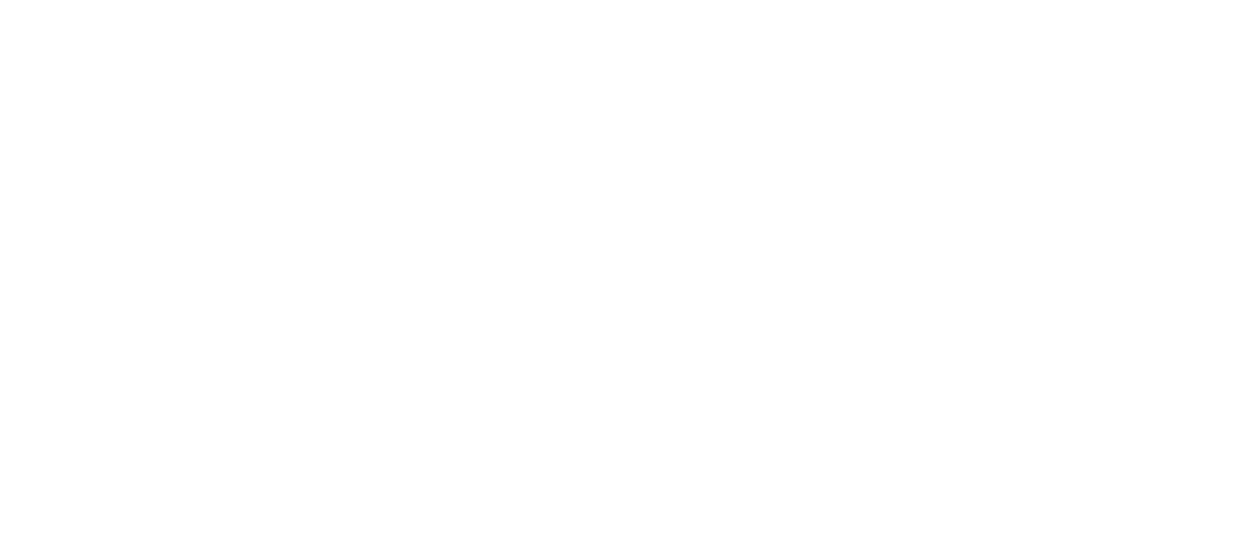 maxflex 40 anos